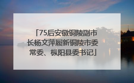 75后安徽铜陵副市长杨文萍履新铜陵市委常委、枞阳县委书记